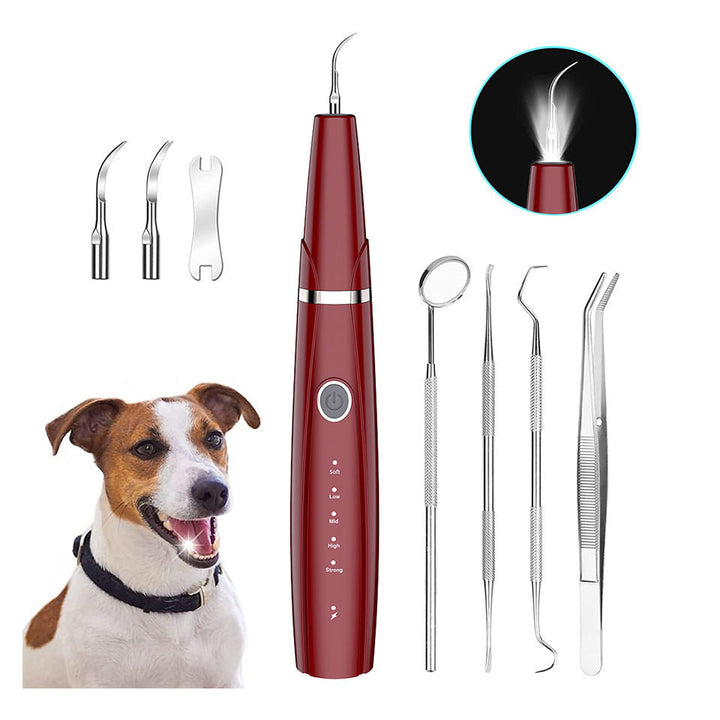 Portable Ultrasonic Electric Tooth Cleaner